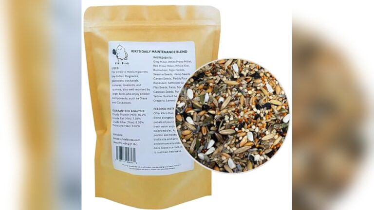 Best Low-Waste Pellet for Conures: Top Nutritious Choices Reviewed