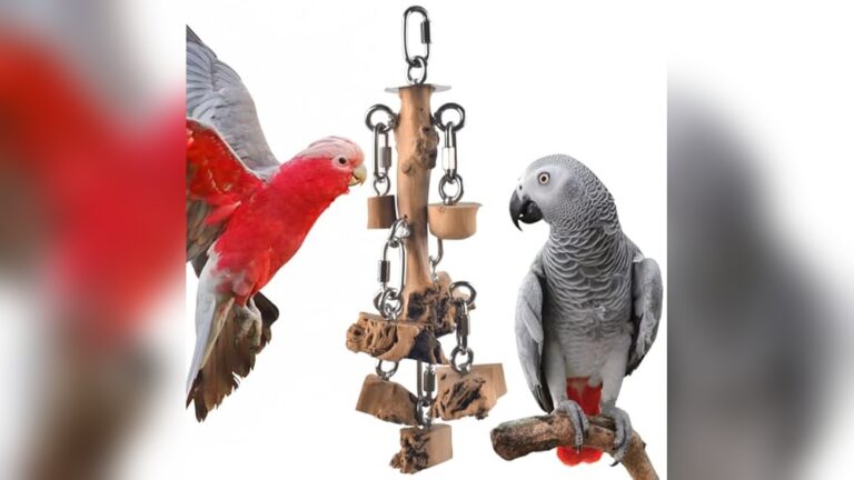 Best Macaw Chew Blocks (Hardwood) for Durable Parrot Playtime