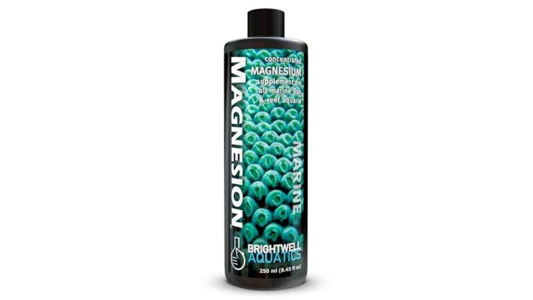 Best Magnesium Supplement for Reef: Top Picks for Healthy Coral Growth