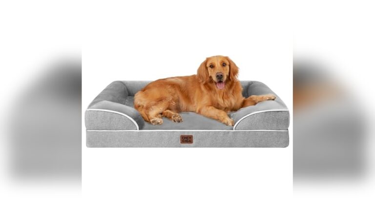 Best Memory Foam Dog Bed for Ultimate Comfort and Support