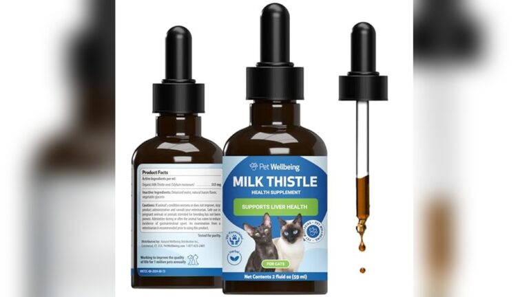 Best Milk Thistle for Liver Support (Vet-Advised) for Cats