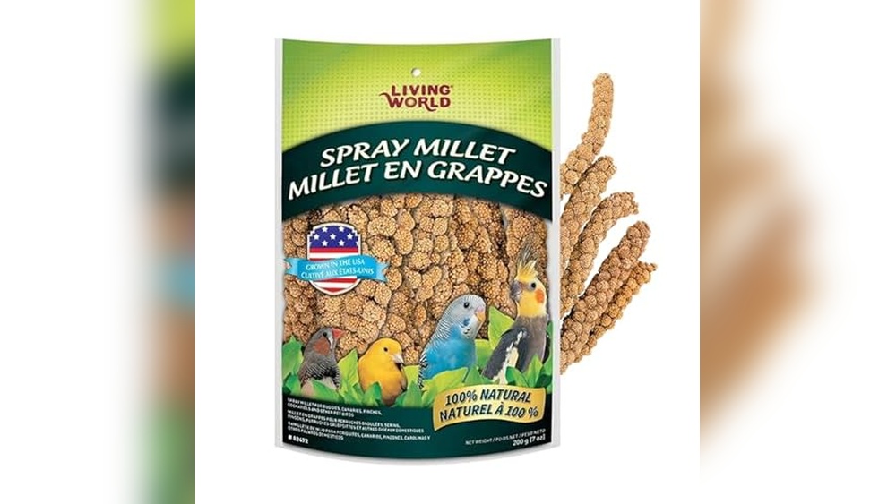 Best Millet Spray for Budgies: Top Healthy Treats for Happy Birds