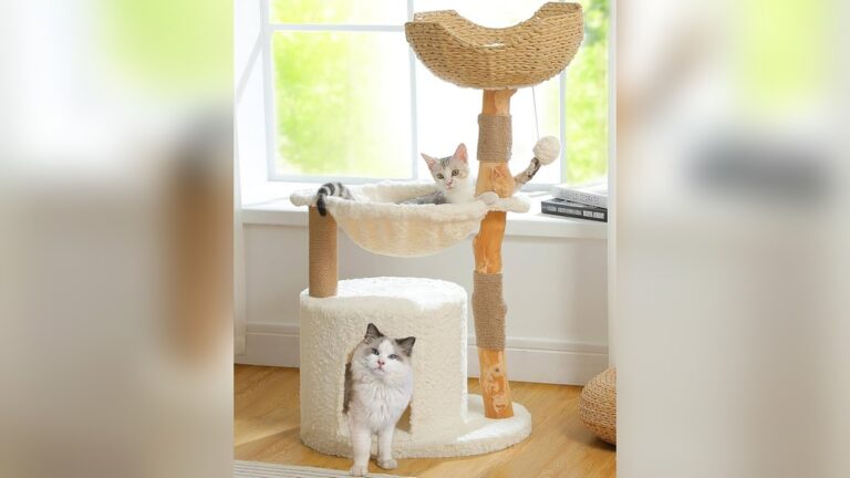 Best Modern Cat Tree for Decor: Stylish Comfort for Your Feline