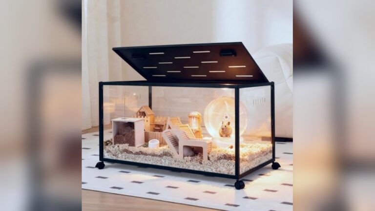 Best Mouse Cage (Secure Doors) for Safe and Spacious Small Pets