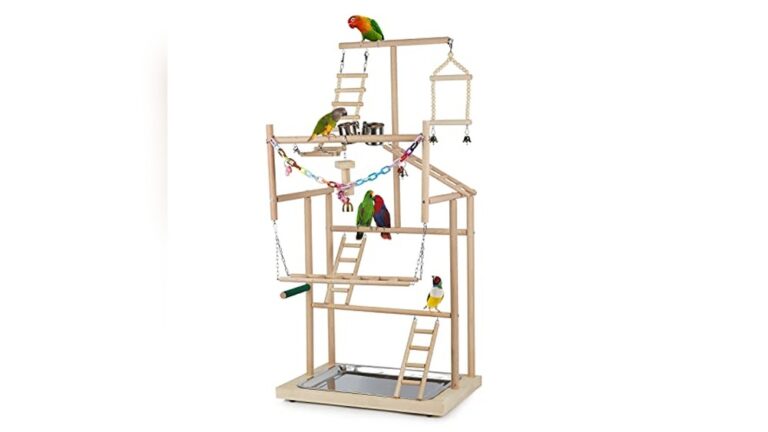 Best Multi-Level Play Gym for Conures: Top Wooden Bird Playstands Reviewed