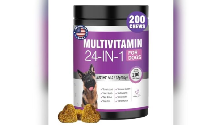 Best Multivitamin for Dogs: Top Supplements for Health and Vitality