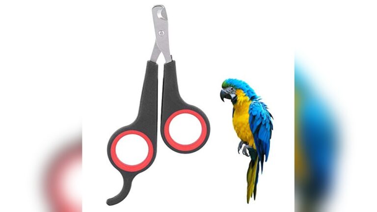 Best Nail Clipper for Birds (Precision) to Groom Small Pets Safely