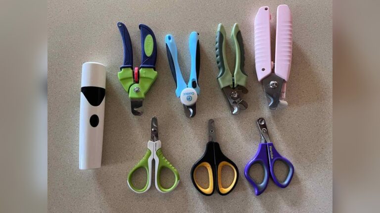 Best Nail Clipper for Cats: Top Picks for Safe Grooming