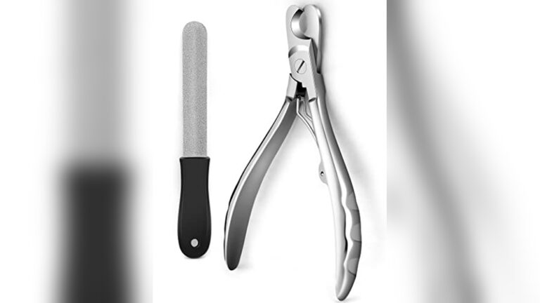 Best Nail Clipper for Large Dogs: Heavy Duty, Safe, and Sharp Choices