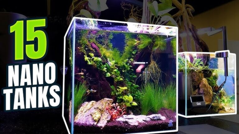 Best Nano Aquariums