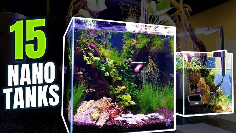 Best Nano Aquariums