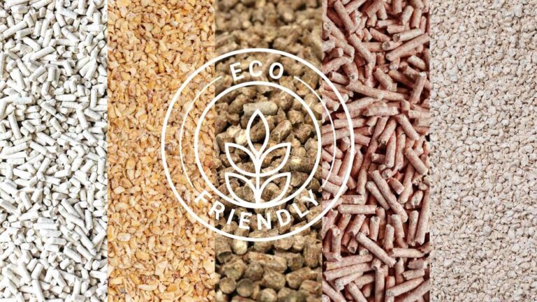 Best Natural Cat Litter: Top Eco-Friendly Choices for Happy Cats