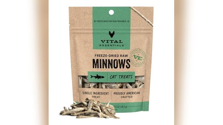 Best Natural Cat Treats for Healthy and Happy Felines