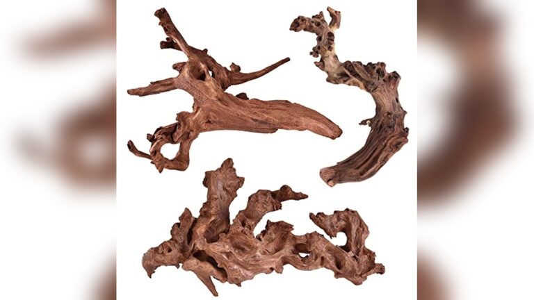 Best Natural Decor for Biotope Tanks: Top Driftwood and Stone Picks