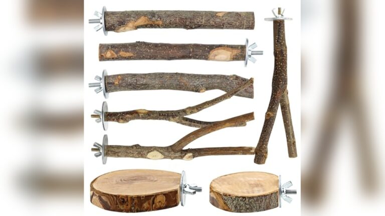 Best Natural Wood Perch for Cockatiels: Top Durable Bird Stand Picks