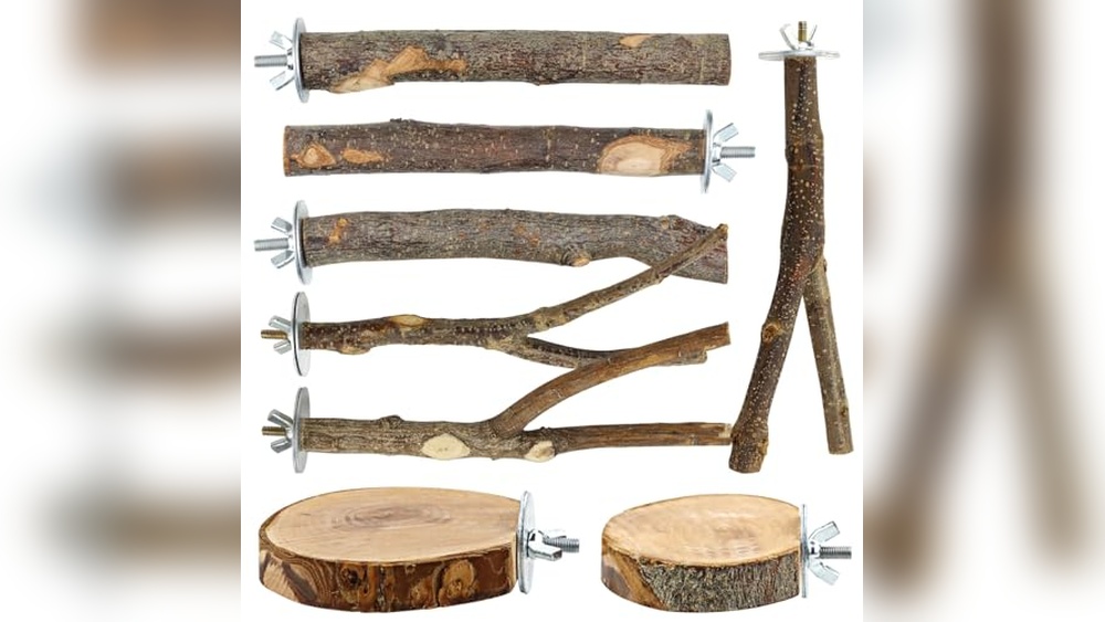 Best Natural Wood Perch for Cockatiels: Top Durable Bird Stand Picks