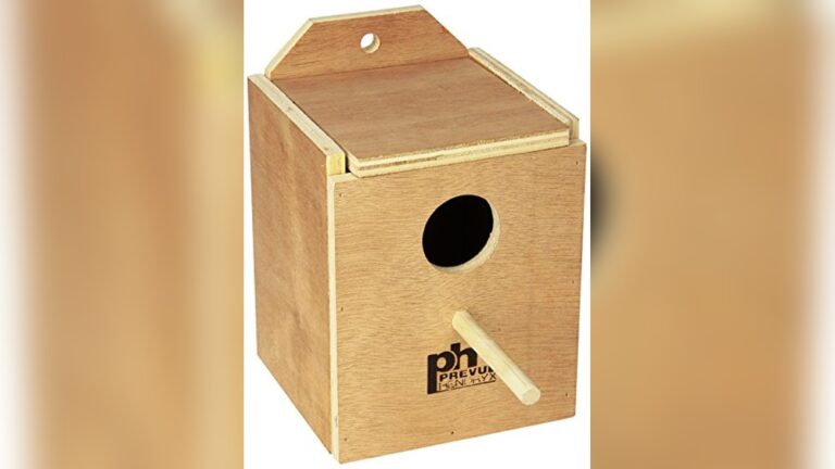 Best Nesting Box for Finches: Top Eco-Friendly and Durable Bird Houses