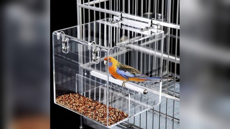 Best No-Mess Bird Feeder for Small Cages to Keep Seeds Contained