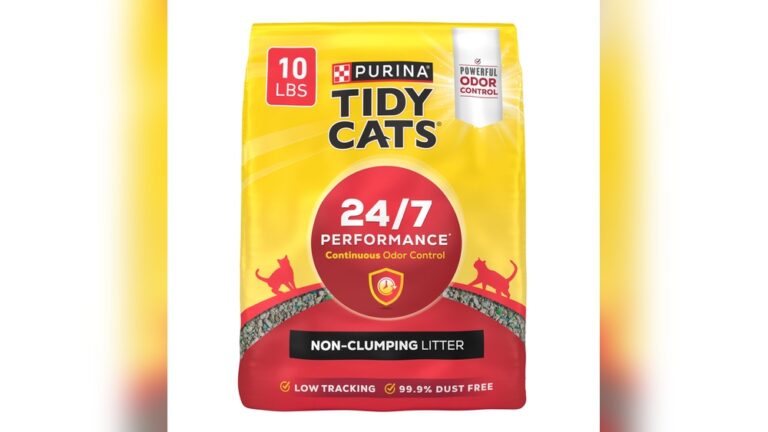 Best Non-Clumping Cat Litter: Top Picks for Odor Control & Cleanliness
