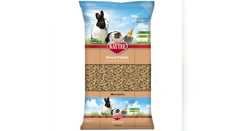 Best Odor Control Litter for Ferrets: Top Picks for Freshness & Cleanliness