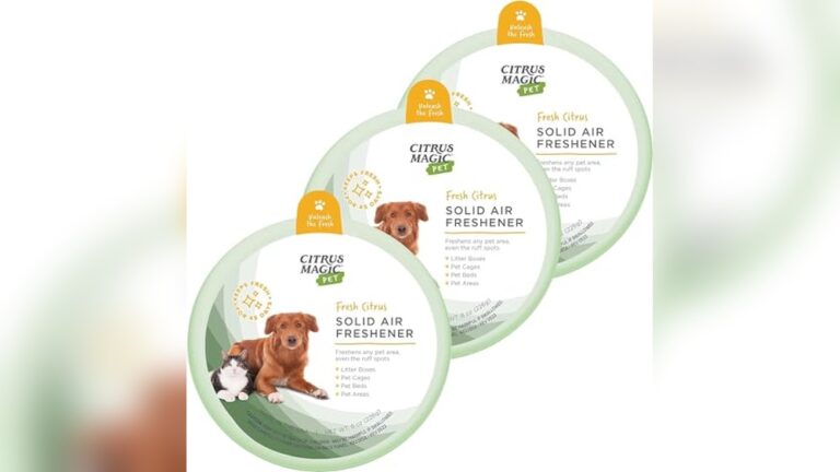 Best Odor Eliminator for Bird Rooms (Pet-Safe) That Truly Works