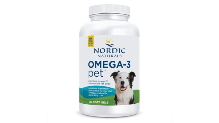 Best Omega-3 Supplement for Dogs to Boost Health and Shine Coat