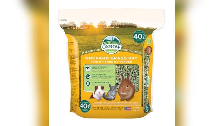 Best Orchard Grass Hay (Soft) for Healthy Small Pets’ Nutrition