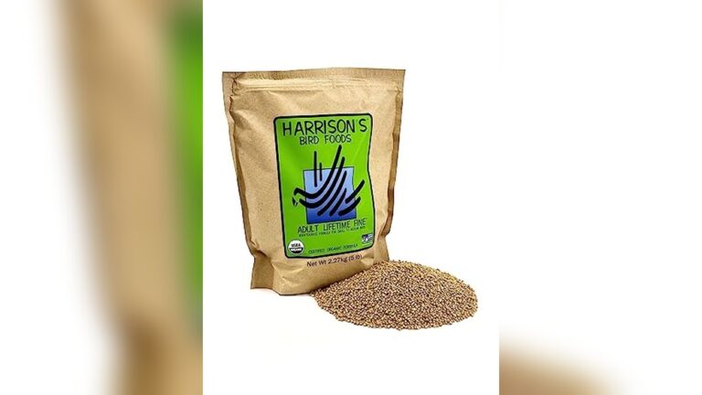 Best Organic Bird Food (Non-GMO) for Healthy and Happy Birds