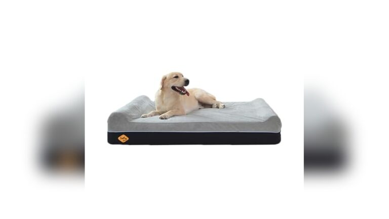 Best Orthopedic Dog Bed for Hip Dysplasia: Ultimate Comfort Solutions