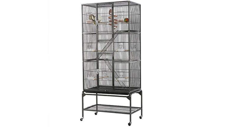 Best Parrotlet Cage (Bar Spacing) for Safe and Comfortable Birds