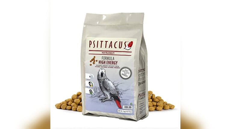 Best Pellet for African Grey (Complete Nutrition) for Vibrant Healthy Birds