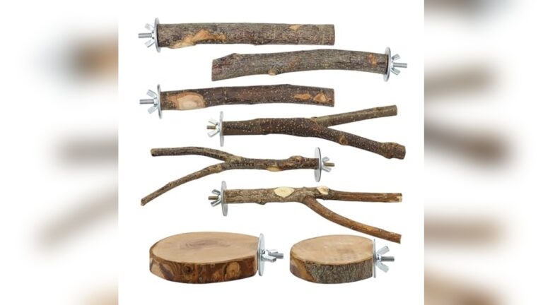 Best Perch Size for Budgies: Choosing Natural Wood Bird Perches Right