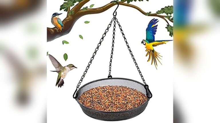 Best Platform Feeder for Cardinals to Attract Vibrant Wild Birds