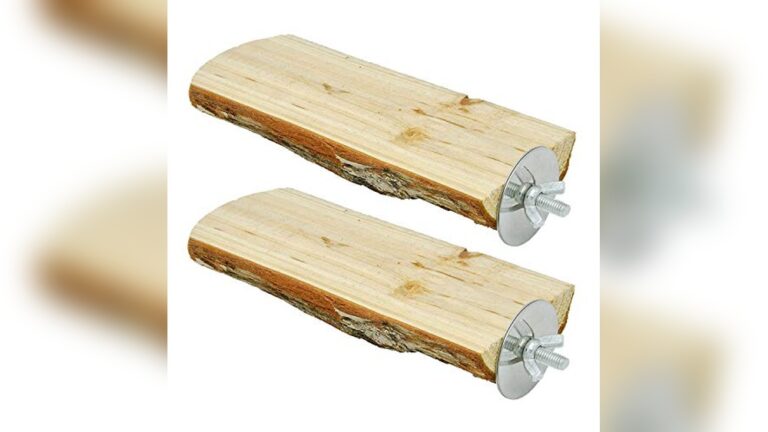 Best Platform Perch for Disabled Birds: Comfort and Safety Guide