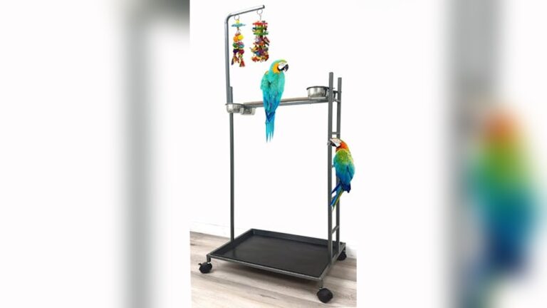 Best Play Gym for Macaw (XL): Ultimate Parrot Playground Stand Review