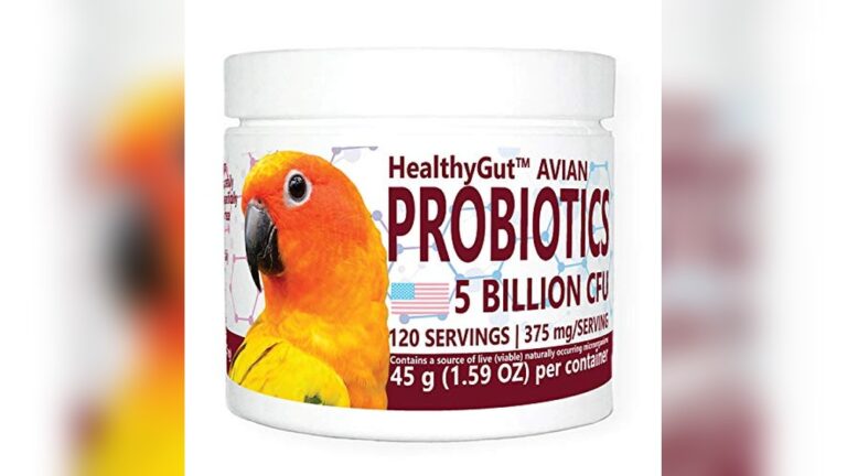 Best Probiotic for Birds (Gut Health) to Boost Digestive Balance