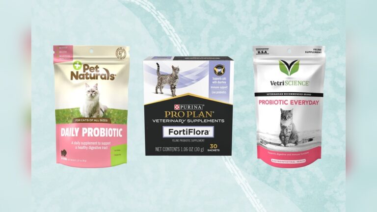 Best Probiotic for Cats: Top Picks for Health & Vitality