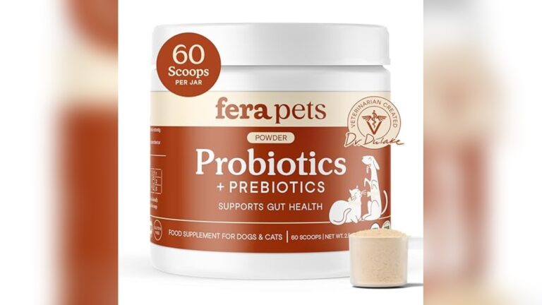 Best Probiotic for Small Animals: Top Supplements for Gut Health