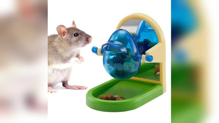 Best Puzzle Feeder for Rats: Interactive Toys for Enrichment and Fun