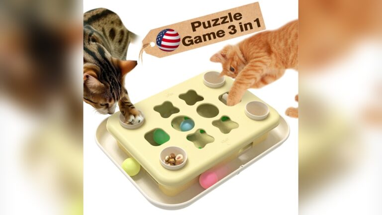 Best Puzzle Toy for Smart Cats: Top Engaging Picks Revealed