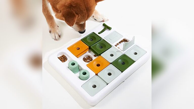 Best Puzzle Toy for Smart Dogs: Top Interactive Treat Games Reviewed