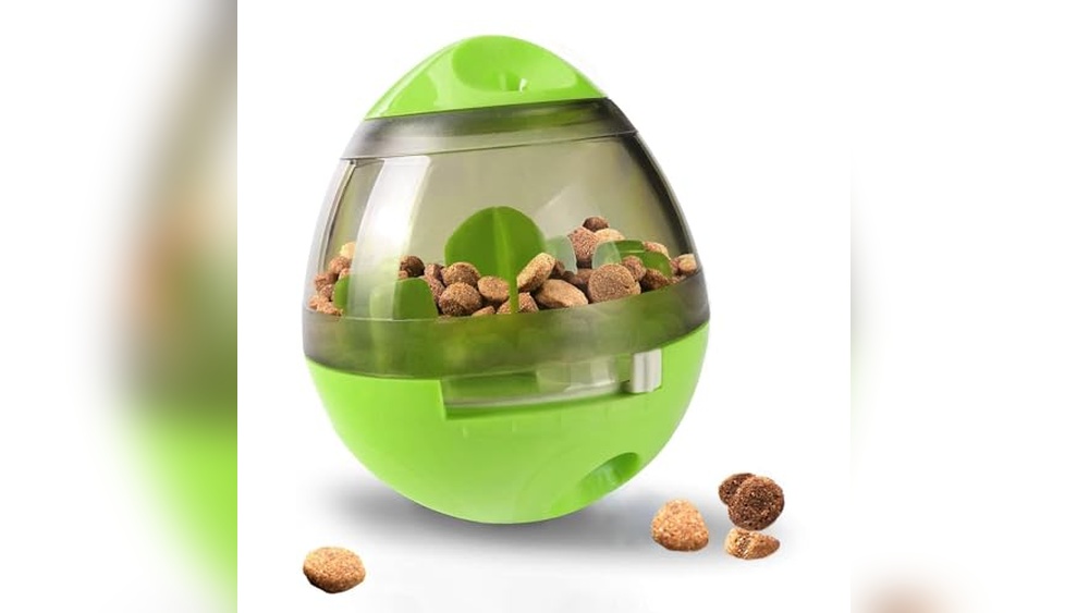 Best Rabbit Boredom Buster Toys to Keep Your Bunny Active and Happy