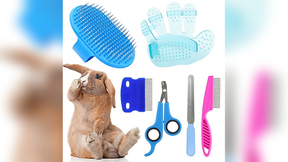 Best Rabbit Grooming Brush Shedding: Top Tools for Smooth Fur Care ...
