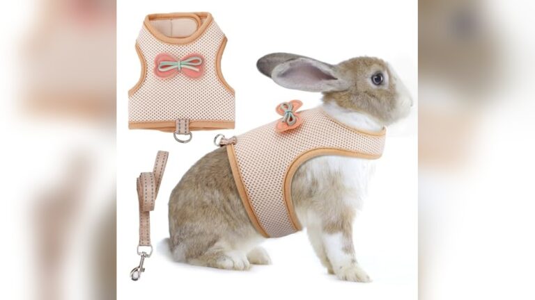 Best Rabbit Harness for Outdoor Time: Safe, Comfortable, and Stylish Choices