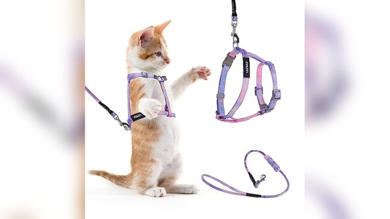 Best Rabbit Harness (H-Style) for Safe and Comfortable Outdoor Walks