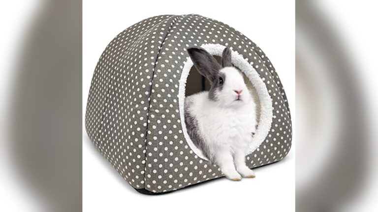 Best Rabbit Hideout (Large Size) for Cozy Indoor Bunny Comfort