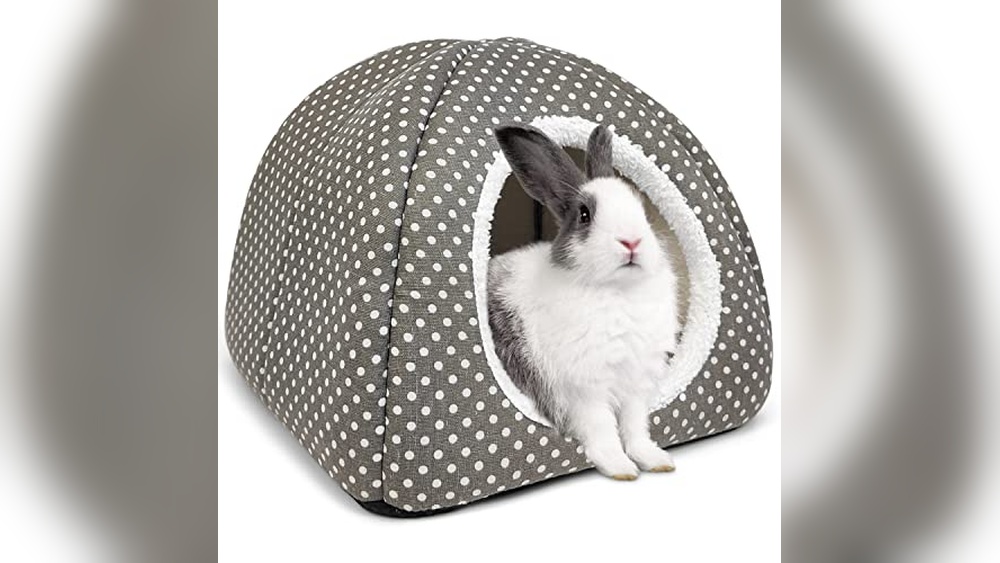 Best Rabbit Hideout (Large Size) for Cozy Indoor Bunny Comfort