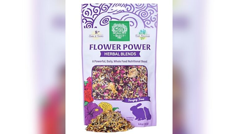 Best Rabbit Treats (Herbal) for Natural Health and Happy Pets