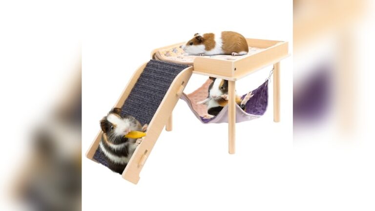 Best Ramp & Platform Set for Guinea Pigs: Cozy Hideouts and Playgrounds