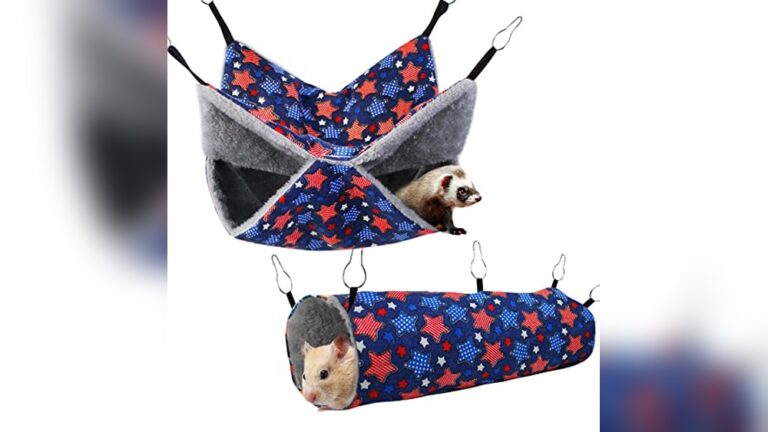 Best Rat Hammock Hide (Cozy) for Small Pets: Top Comfortable Picks